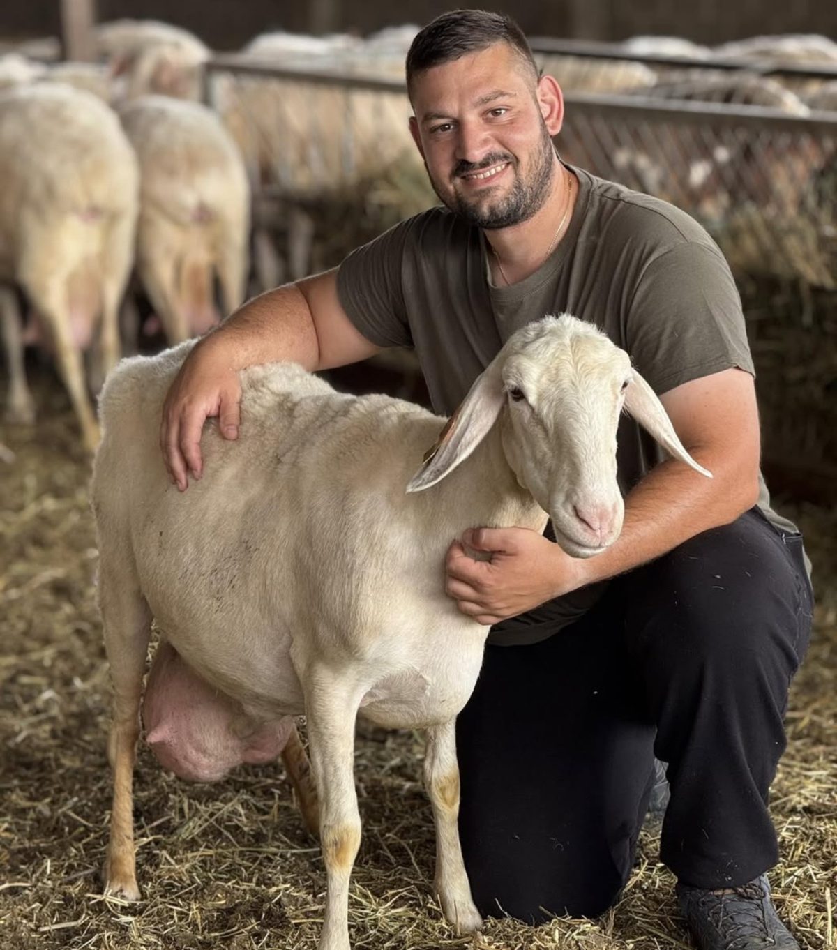 Ανδρέας Αγγελόπουλος